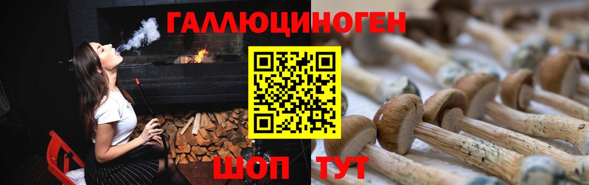 Псилоцибиновые грибы Psilocybine cubensis  Вход с VPN  Лениногорск 